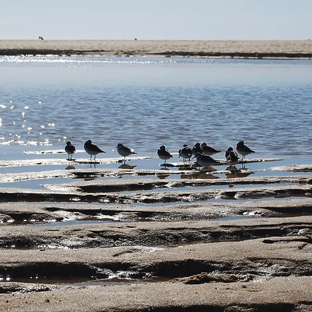 Semesterbostad Lagoa House Albufeira Lagoa de Albufeira