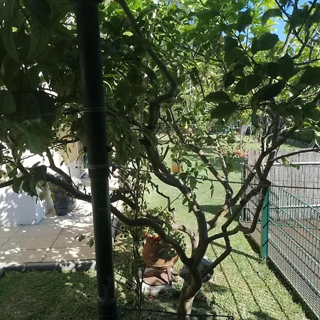 Lagoa House Albufeira