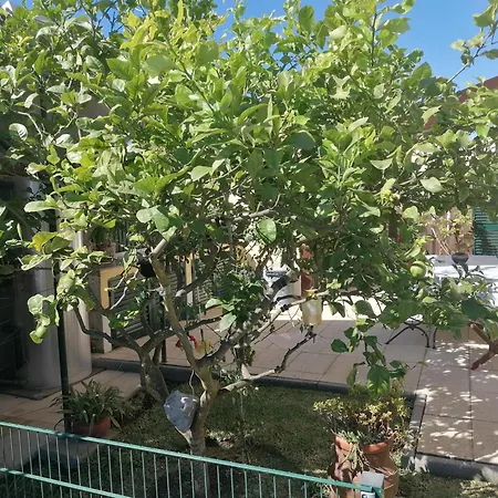 Lagoa House Albufeira