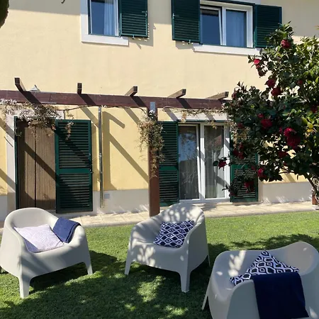 Lagoa House Albufeira Holiday home