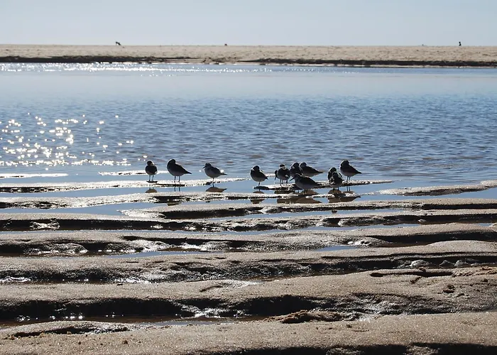 펜션 Lagoa House Albufeira Lagoa de Albufeira