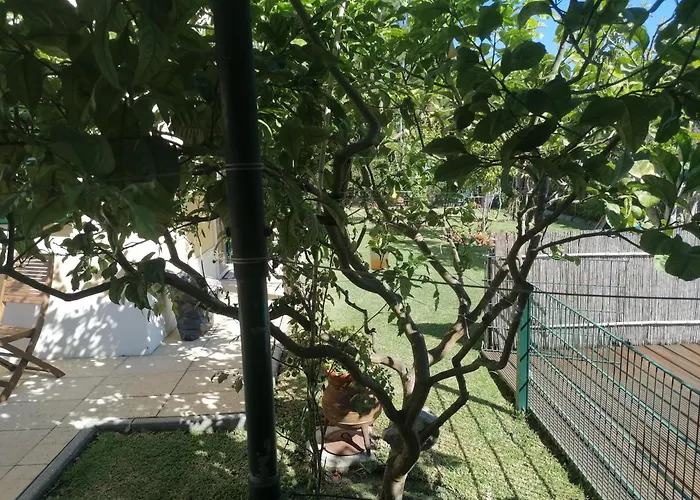 Lagoa House Albufeira