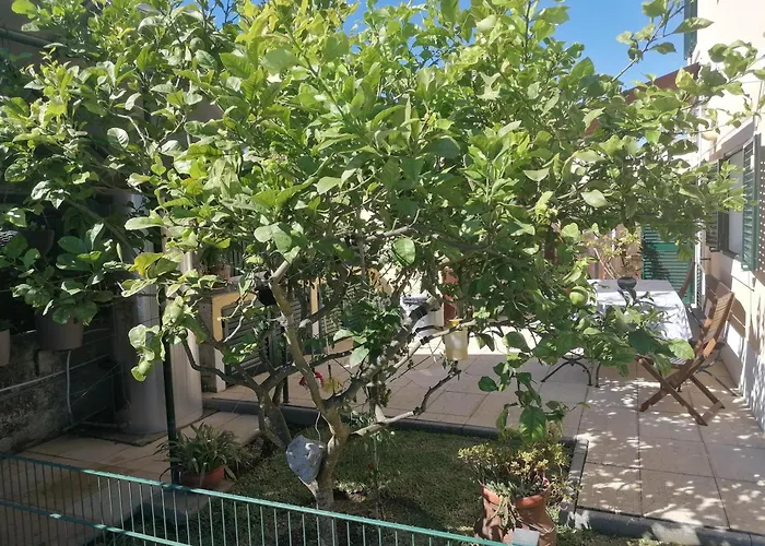 Lagoa House Albufeira